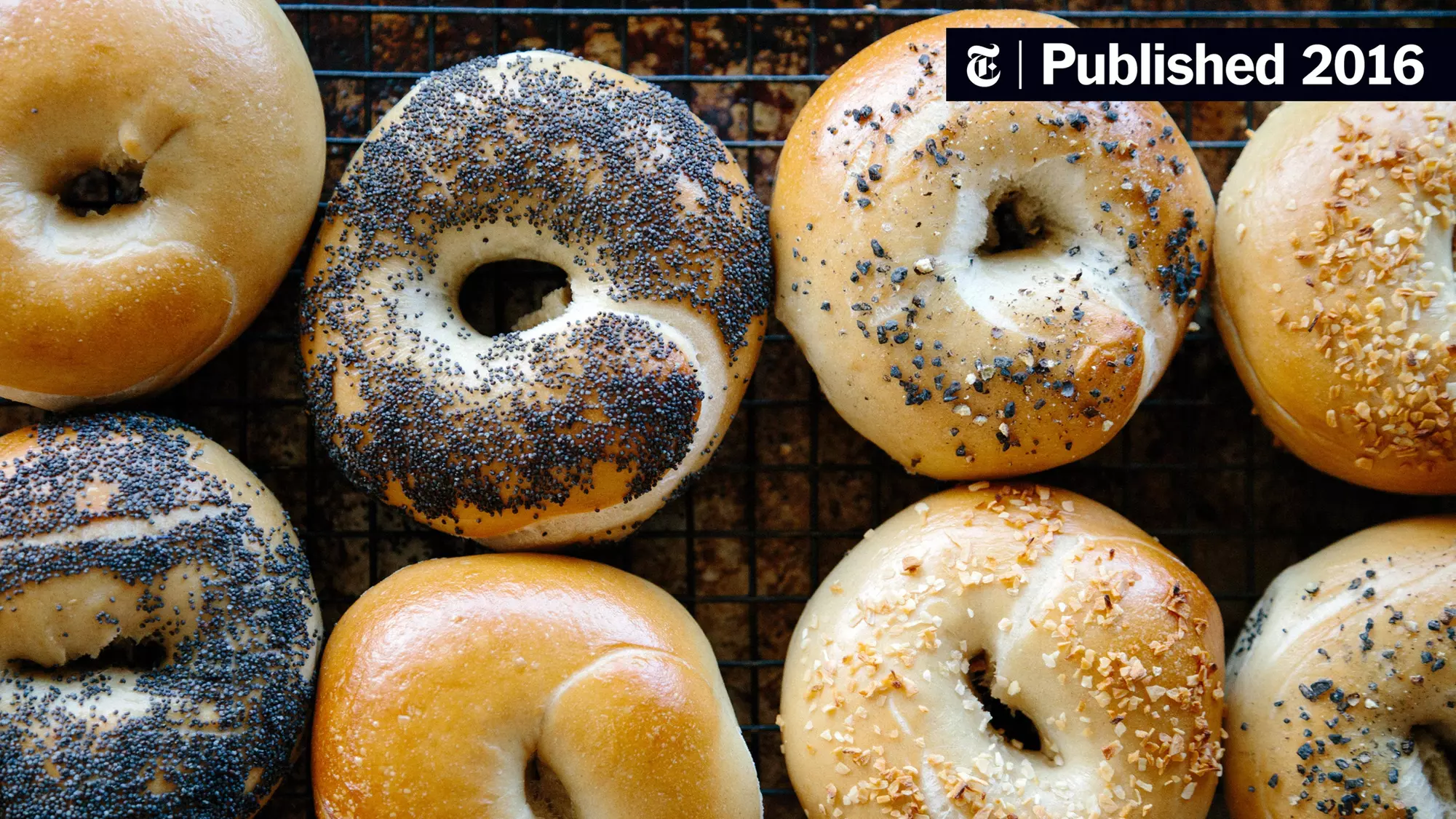 Up to 40% Off on Bagel Shop at Bad Guy Bagels - Primary Image