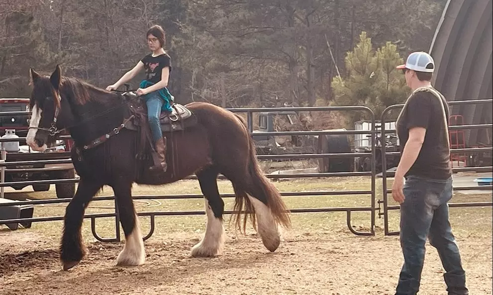 Explore Horseback Riding with Flexible Lesson Packages
