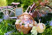 Up to 83% Off on Outdoor Photography at Bumble Baby Photography - Second Medium