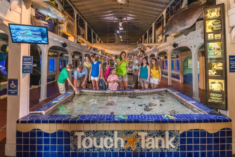 Up to 29% Off on Aquarium Visit at Key West Aquarium - Primary Image