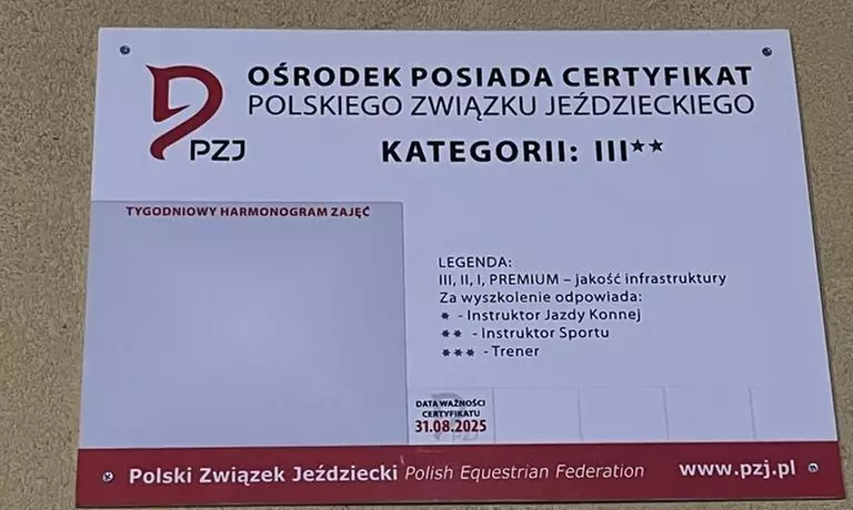 Jazda konna na lonży w firmie Kj Anno Lepi