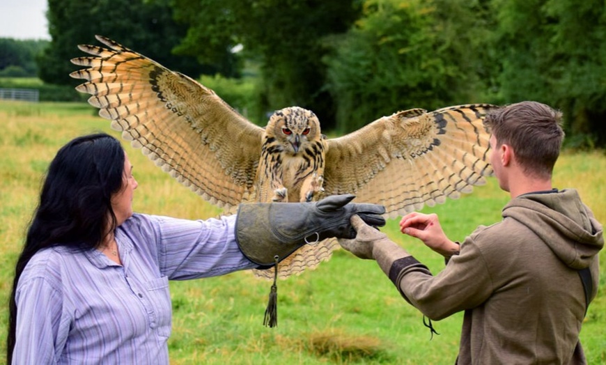 Image 2: Up to 75% Off on Falconry - Recreational at Mercer Falconry