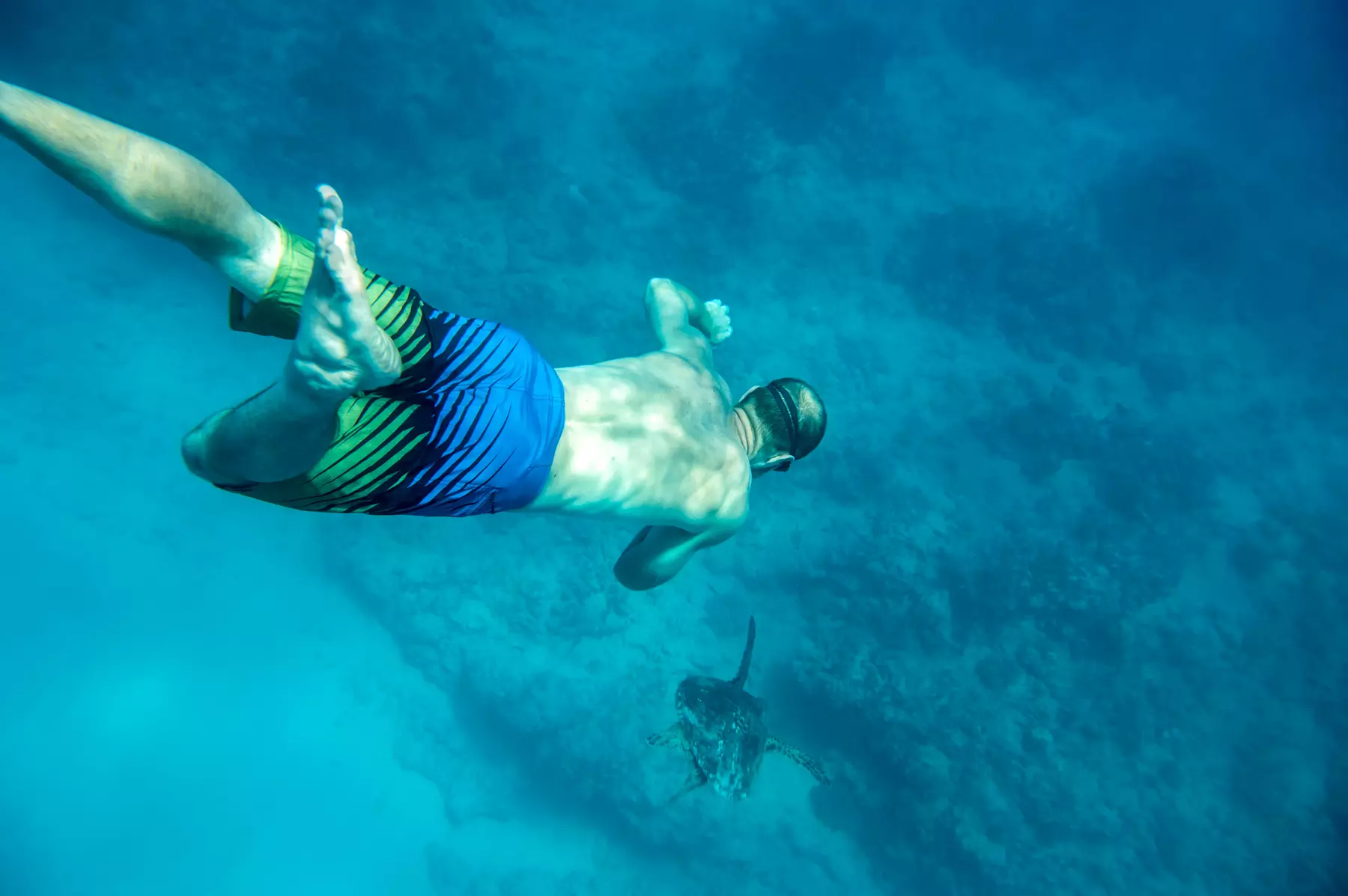 Snorkel with turtles at Turtle Canyon in Honolulu