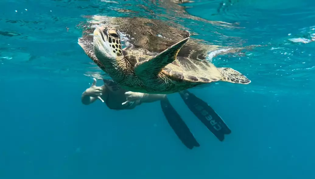 Up to 20% Off on Snorkeling at Island Splash Tours - Primary Image