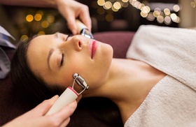 Up to 74% Off on Facial at SHINING HEALTH SPA INC