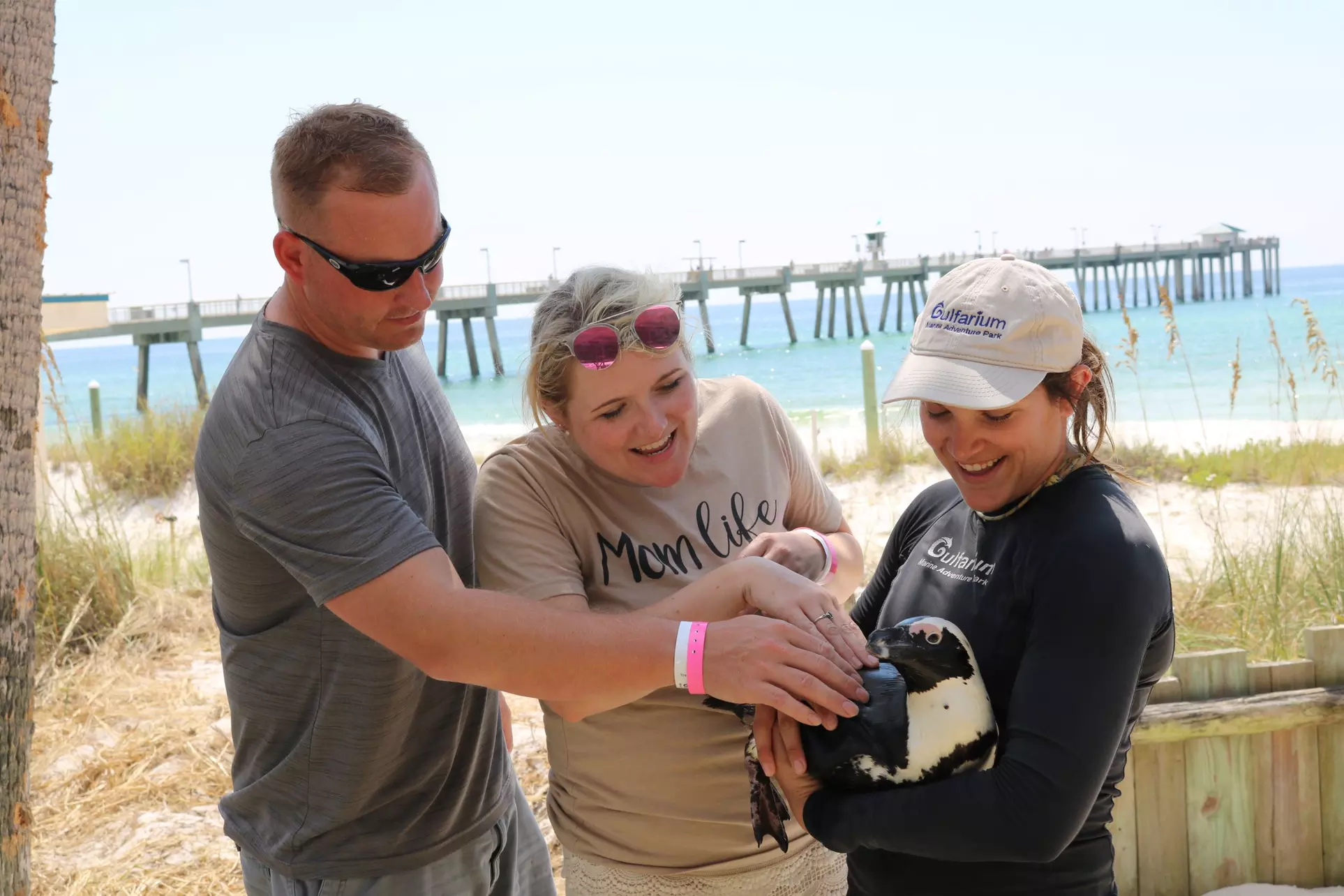 Up to 20% Off on Zoo / Animal Park at Gulfarium - Second Medium