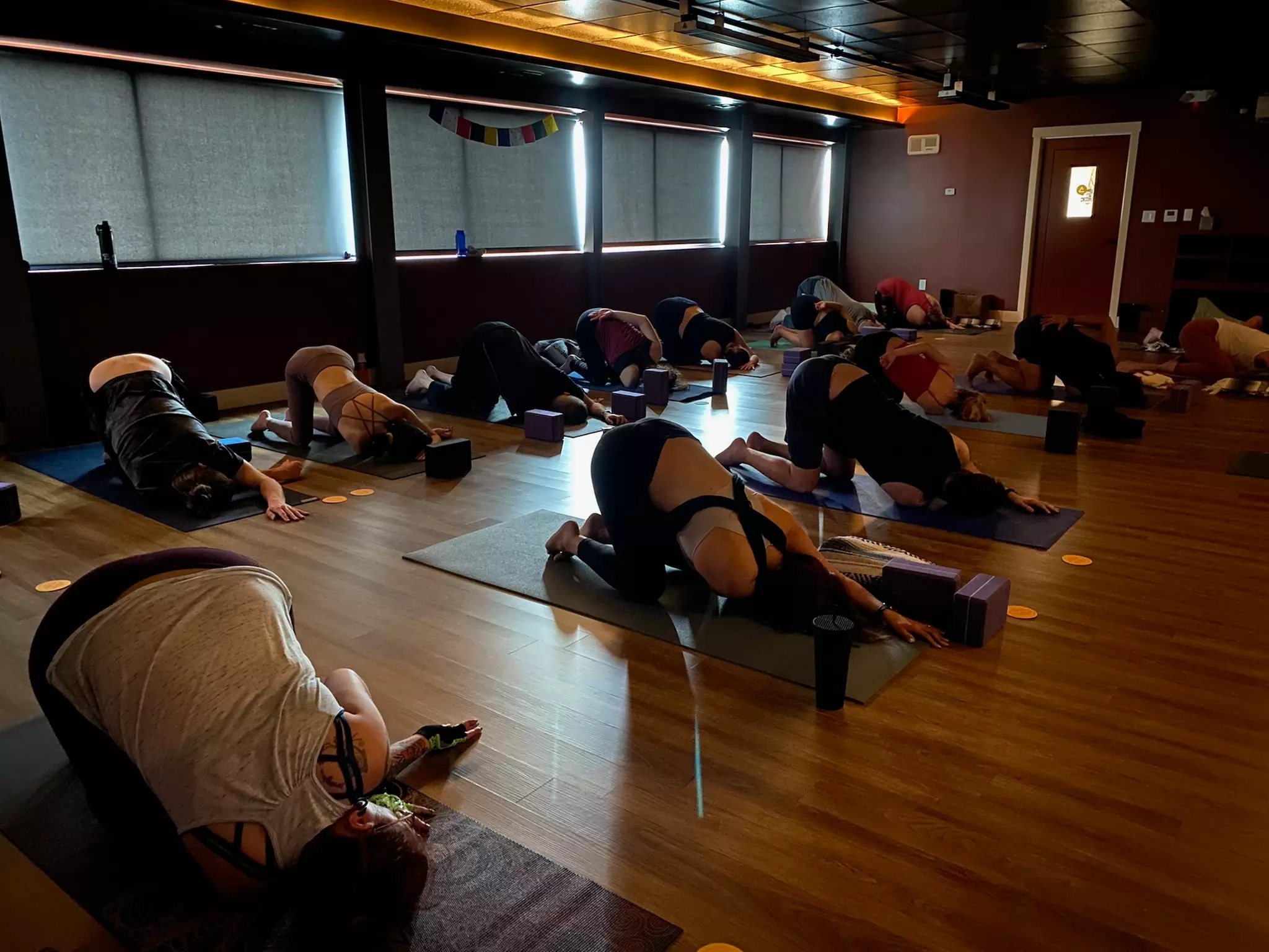 Up to 50% Off on Yoga at Vibe Yoga + Wellness - Primary Image