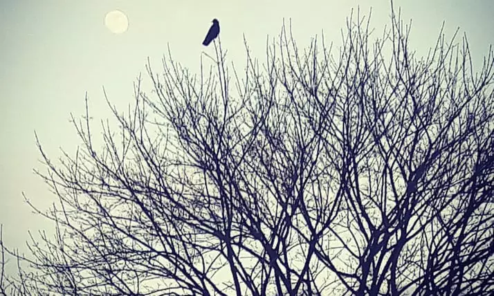 Tour – Wandern bei Millionendorftouren Alfred Wolf