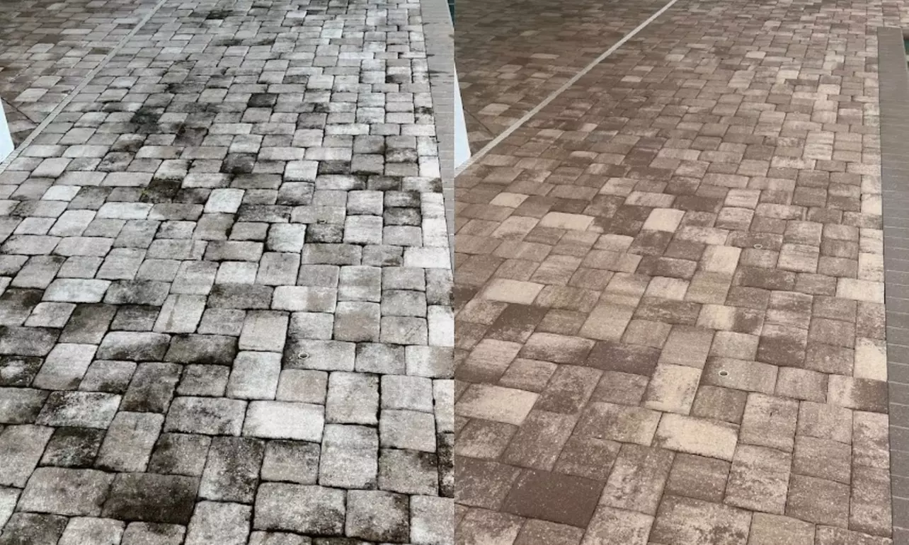 Up to 50% Off on Asphalt / Driveway Paving at Stingray Sealing Services - Second Medium
