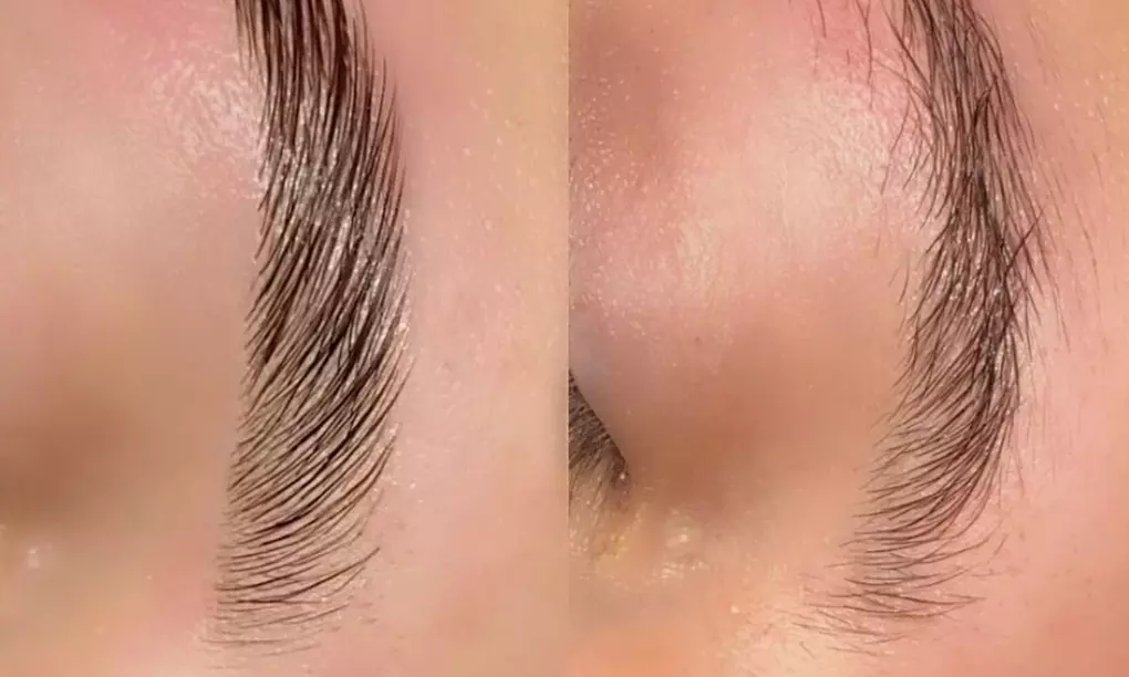 Get Eyebrow Lamination w/ Tint or Eyelash Tinting w/ Lift Sessions!