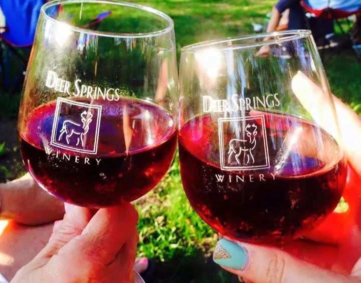 Deer Springs Winery offers a wine flight for two, including fresh bread and seasoned olive oil(Up to 37% Off) - Primary Image