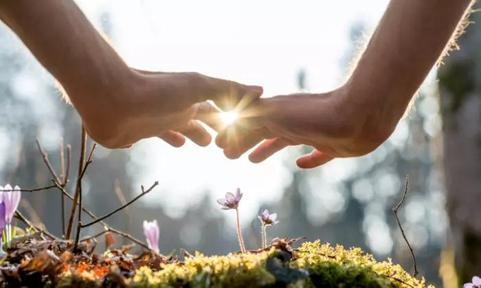 Up to 50% Off on Naturopathic Doctor at Asteri Healing Arts - Primary Image