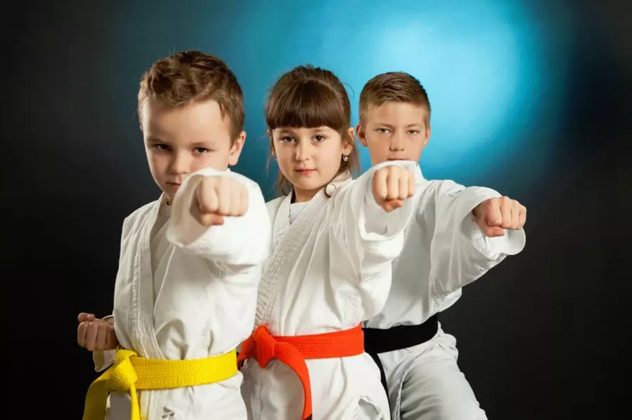 Kids Karate Classes with Uniform for Ages 3.5-15