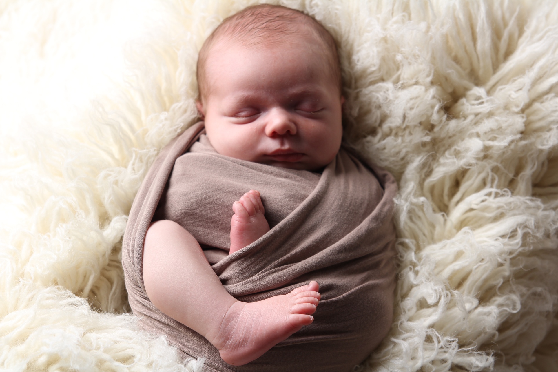 Maternity, Family, or Newborn Photoshoot Session with Online Gallery