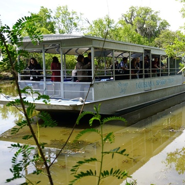 Cajun pride swamp store tour groupon