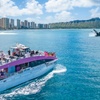 Image 1: Two-Hour Whale Watching Cruise at Waikiki Snorkel Company