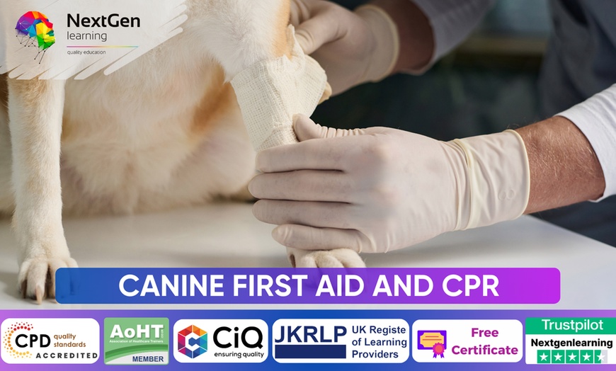 Image 1: Canine First Aid and CPR - Online Course at NextGen Learning