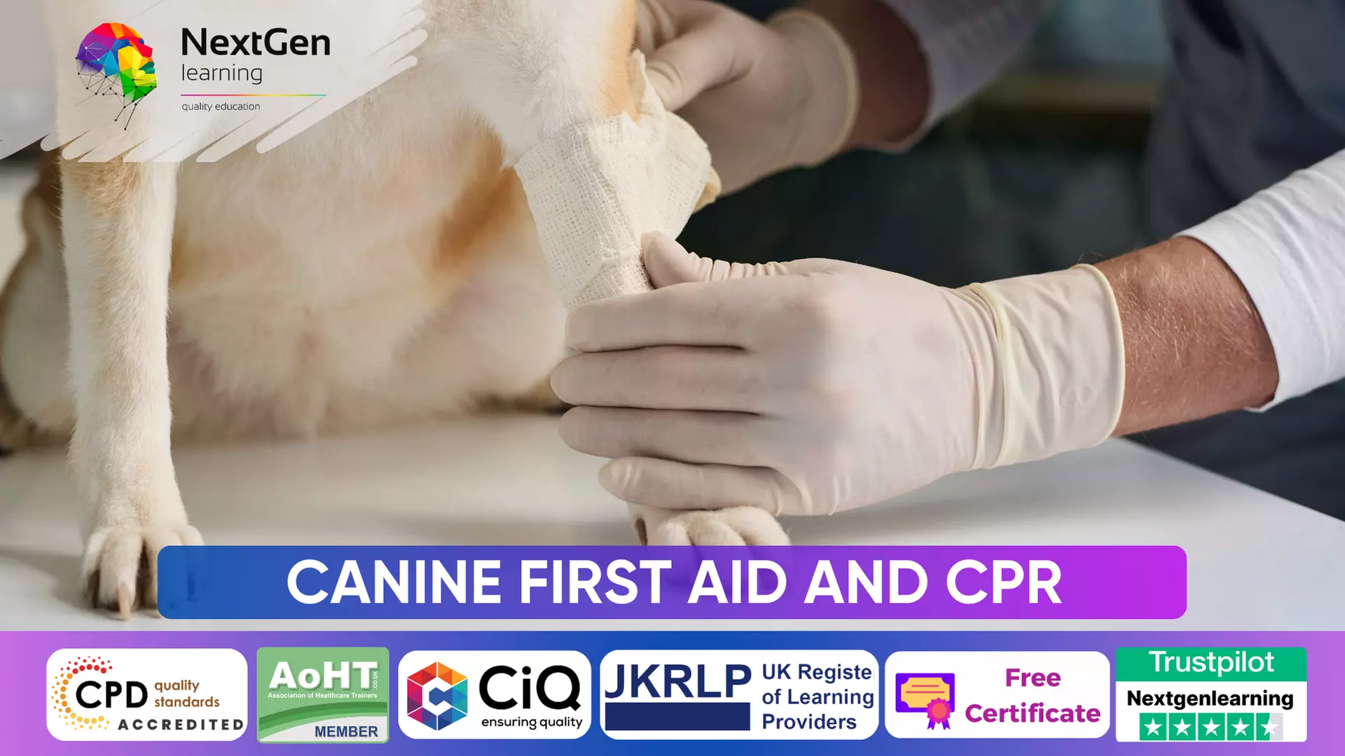 Canine First Aid and CPR - Online Course at NextGen Learning (62% Off) - Primary Image