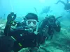 Discover the Underwater World: Personalized SCUBA Diving Classes with Kinsman Dive Team LLC