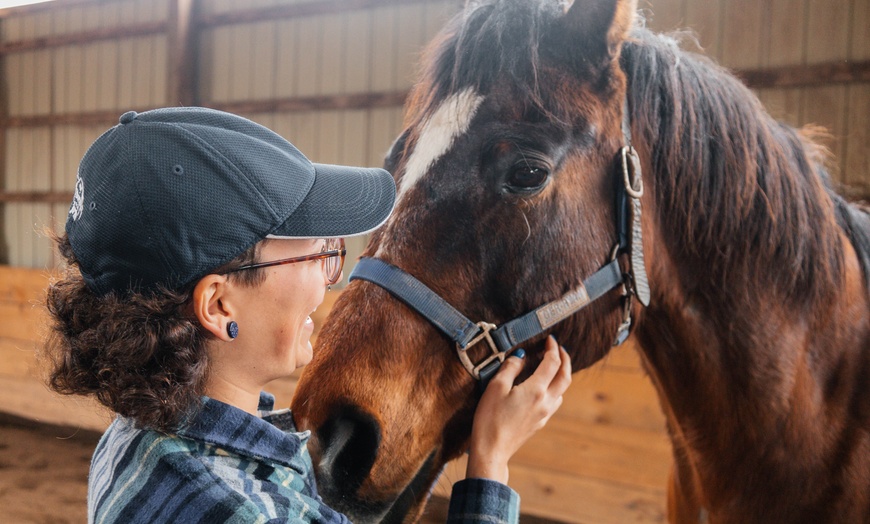 Image 3: Up to 45% Off on One Hour Farm Visit at Humberstone Ranch


