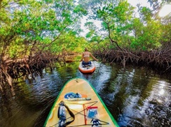 Up to 90% Off on Paddleboarding or Kayak Rentals & Tours 