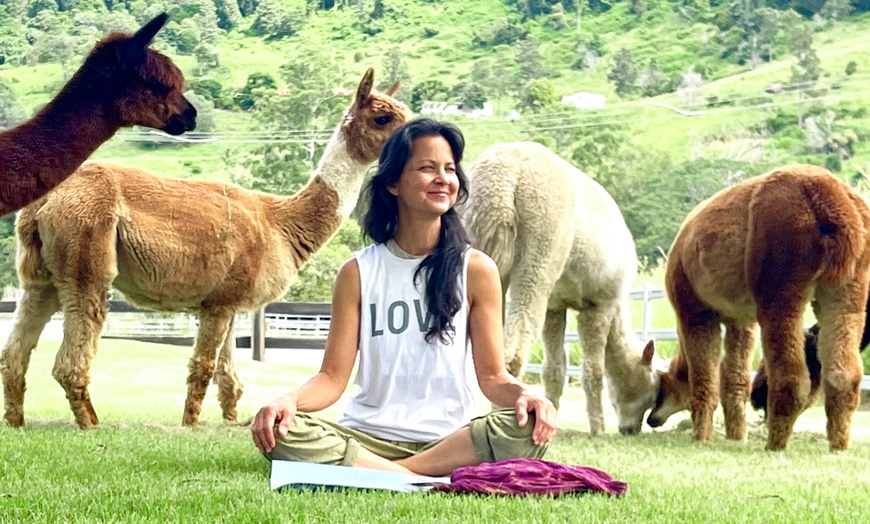 Image 3: Alpaca Yoga Adventure: Relax, Unwind, and Connect with Nature!