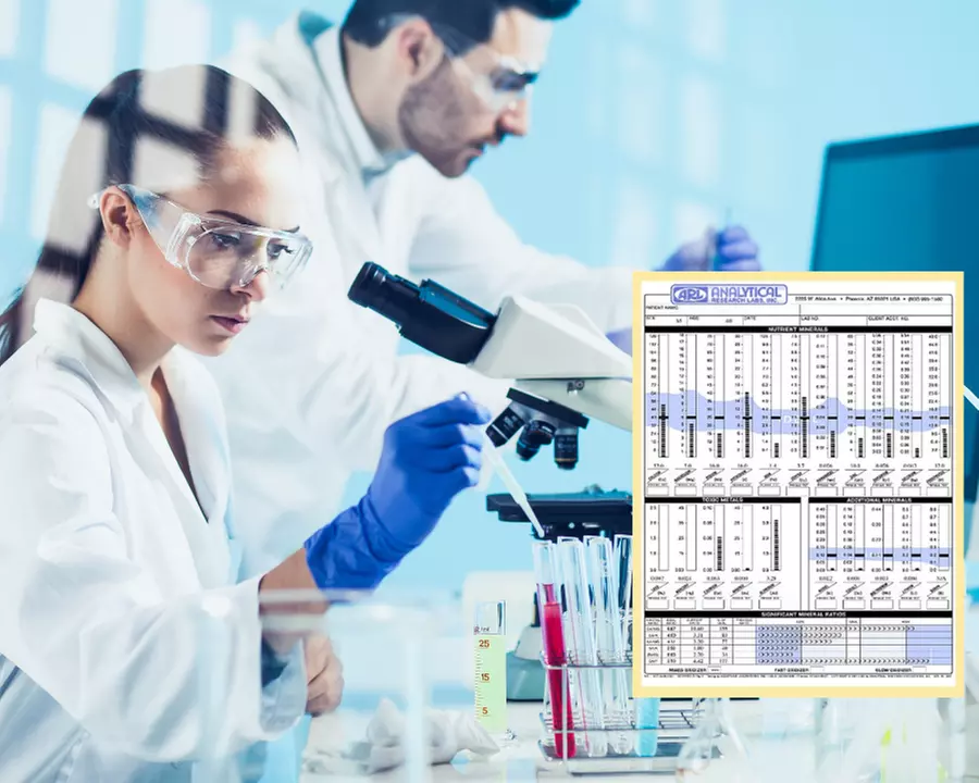 Up to 51% Off on Nutritionist at Whole Balance - Primary Image