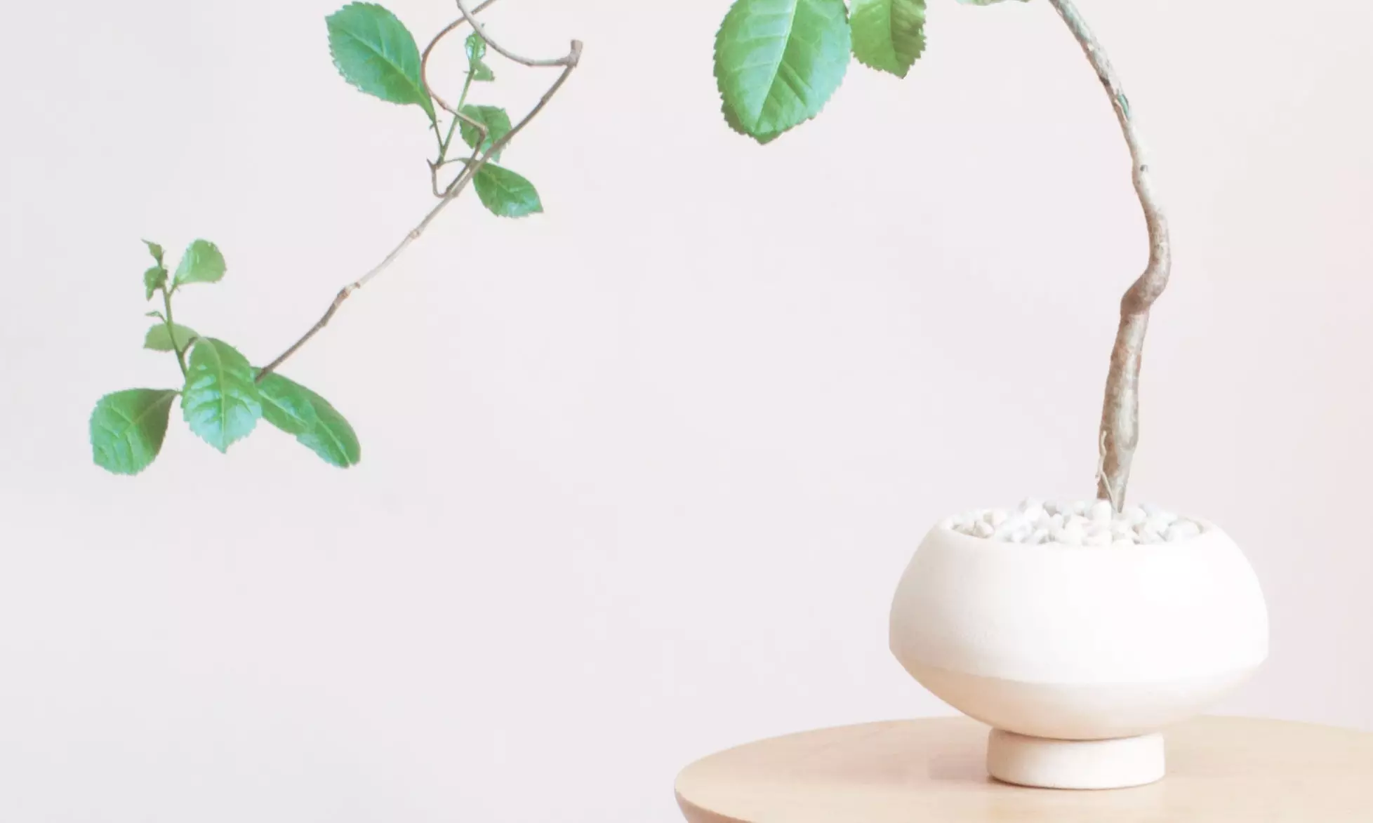 Up to 20% Off on Pottery Lesson at Stone Garden Ceramics - Second Medium