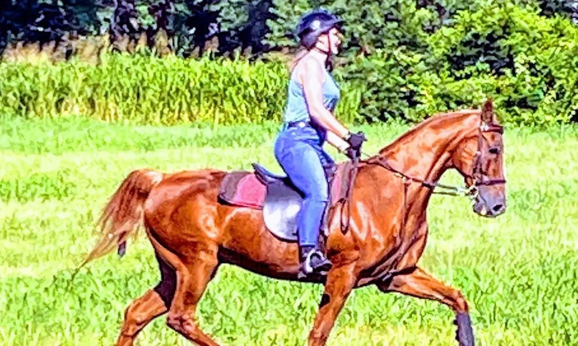 Up to 42% Off on Equestrian Experience at janet green stables - Second Medium