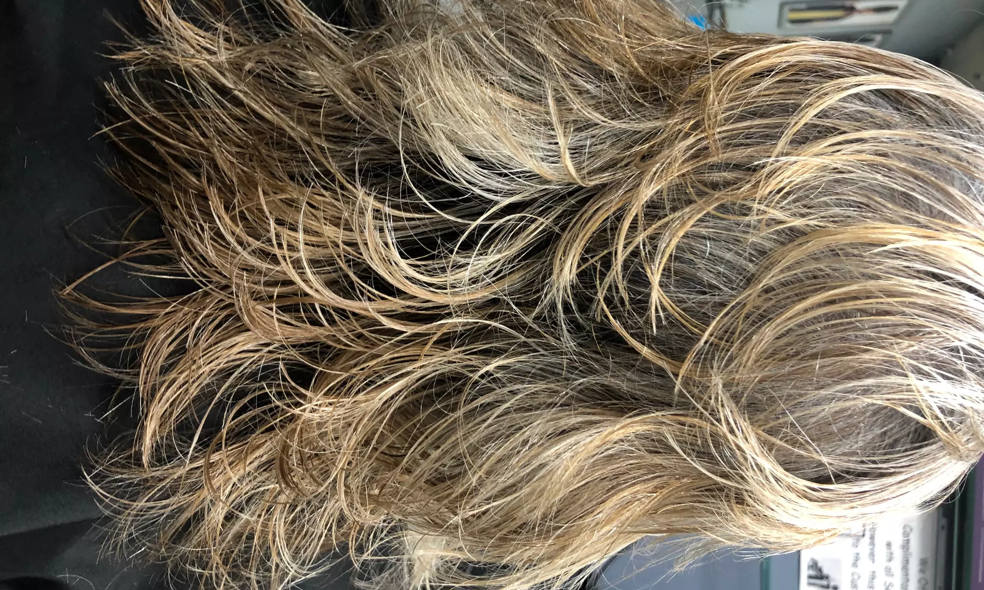 Pamper Yourself: Hair Cut with Optional Blow Dry and 1 Hair Treatment