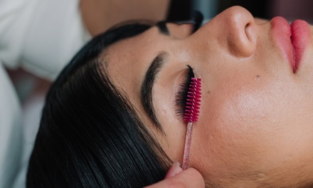 Classic Lash Set - Single Session - Vida Atelier