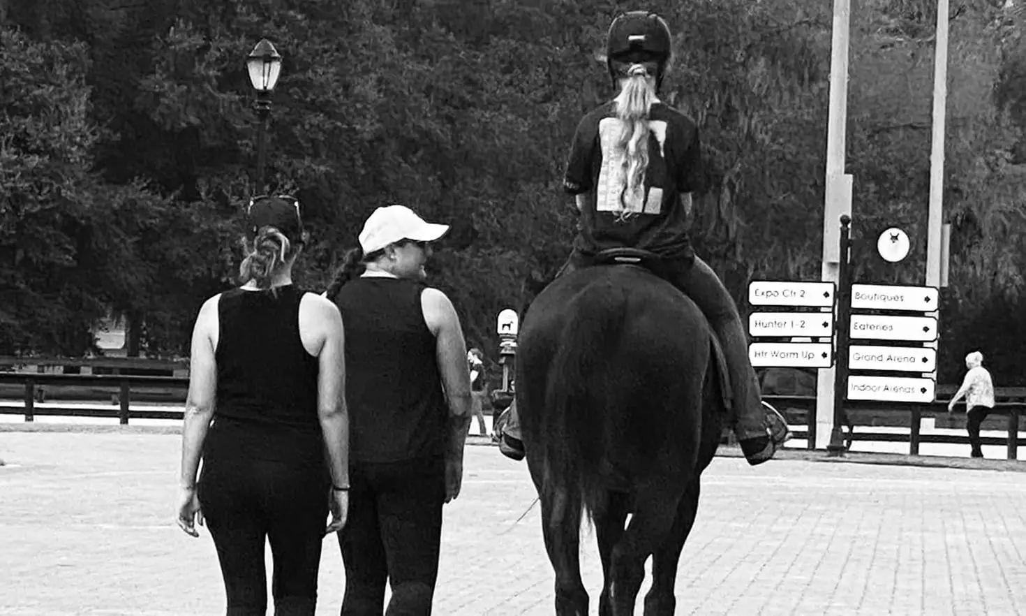 Up to 31% Off on Horse Back Riding - Training at Feather Ridge Equestrian Inc - Second Medium