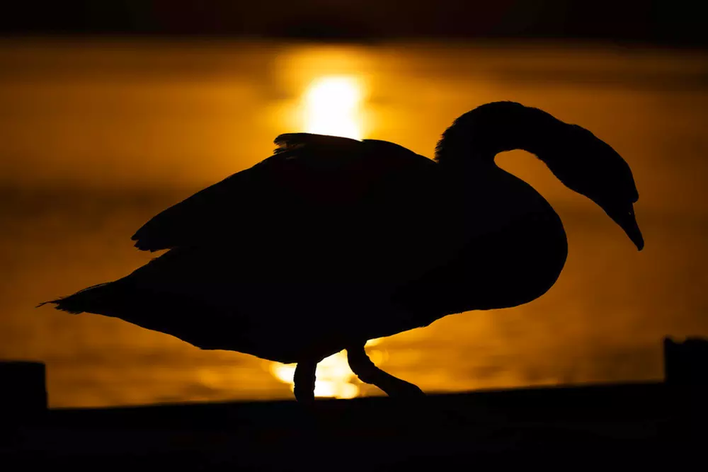 Wildlife Photography Workshop for Beginners at Touch the Wild