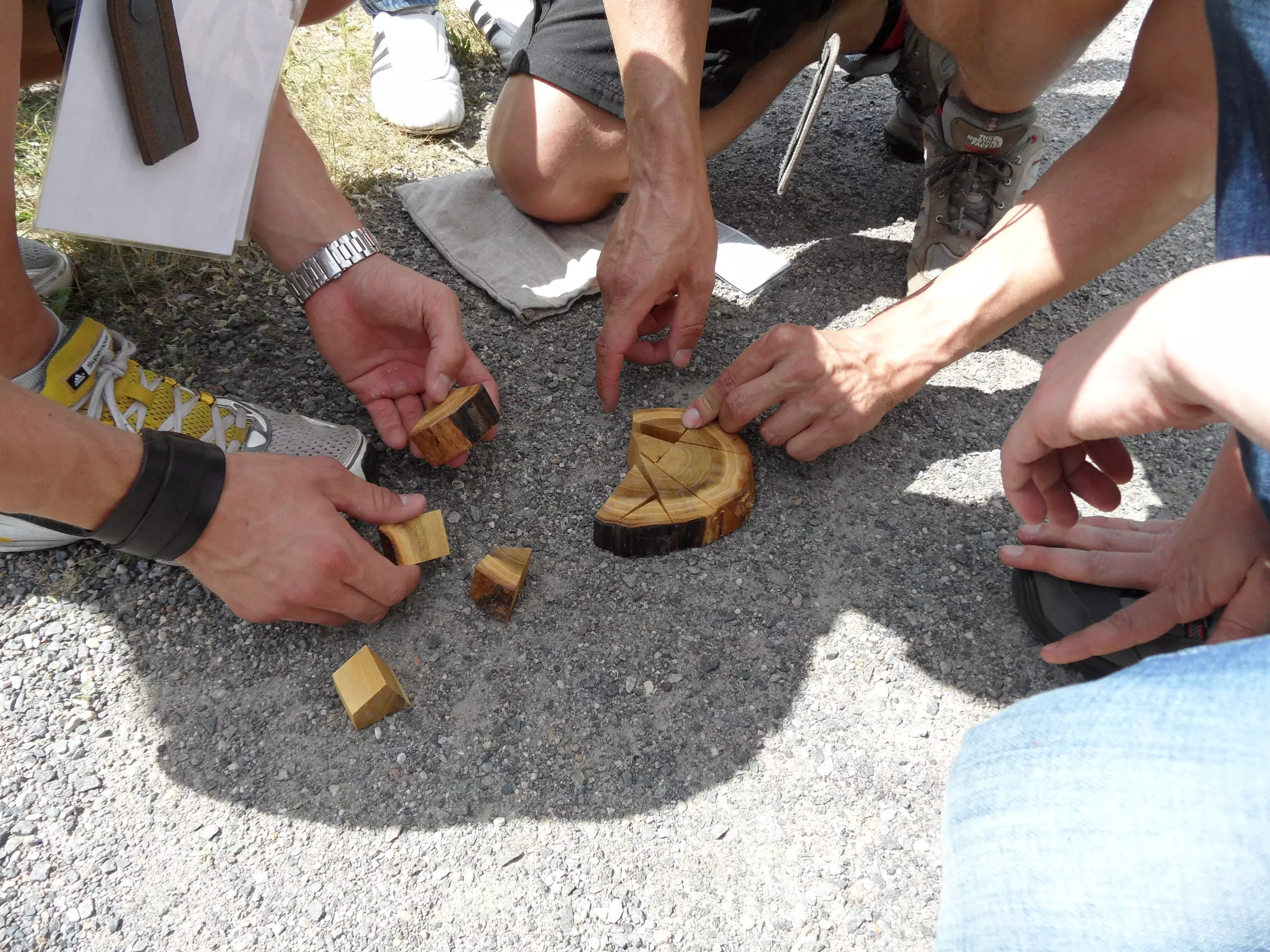 Bis zu 40% Rabatt auf Geocaching Schatzsuche Dresden Neustad