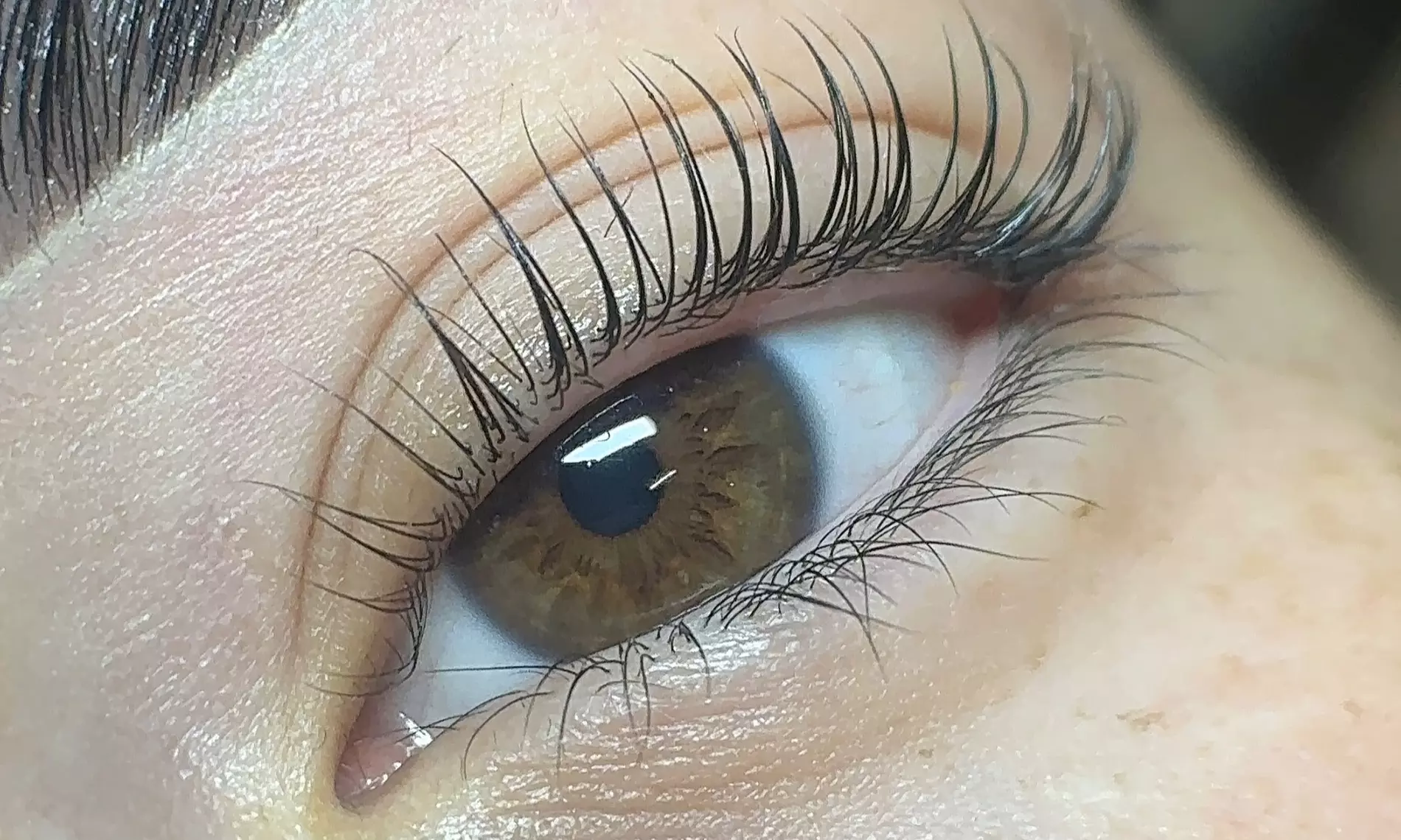 Unlock Stunning Eyes: Elevate Your Look with an Eyelash Lift/Tint!