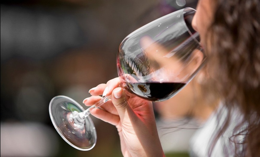 Image 6: Initiation à la dégustation : 5 ou 7 vins bio pour éveiller vos sens