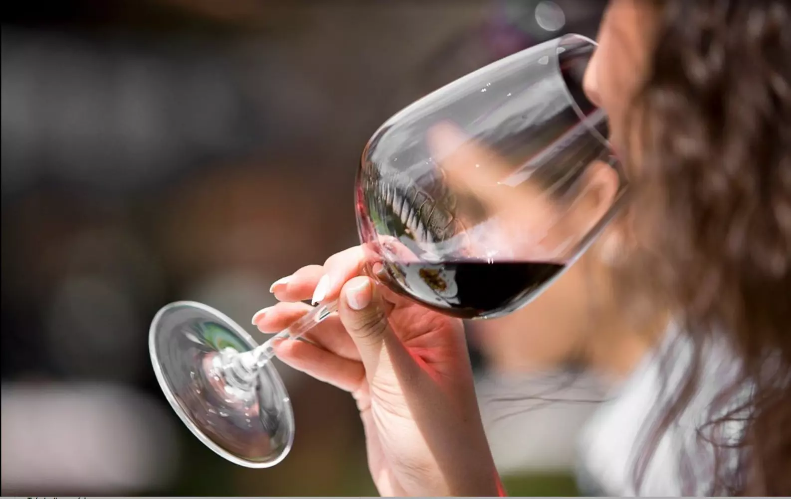 Initiation à la dégustation : 5 ou 7 vins bio pour éveiller vos sens