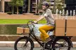 3-Day Rental of Cruiser E-Bike, Off-Road Fat Tire E-Bike, or Family & Cargo E-Bike at Talio Electric Bikes - Second Medium