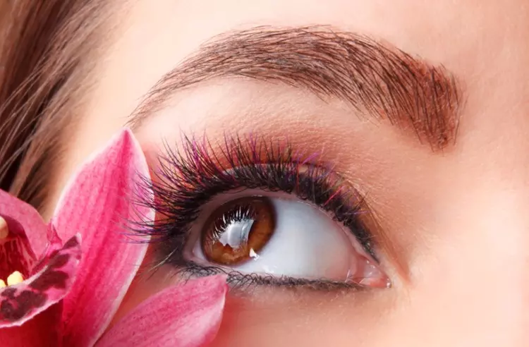 Experience Classic, Hybrid, Volume & MEGA Eyelash Extensions