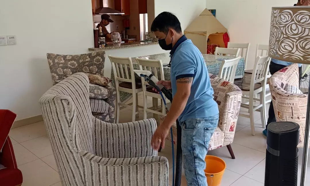 Allergy Care Cleaning Services