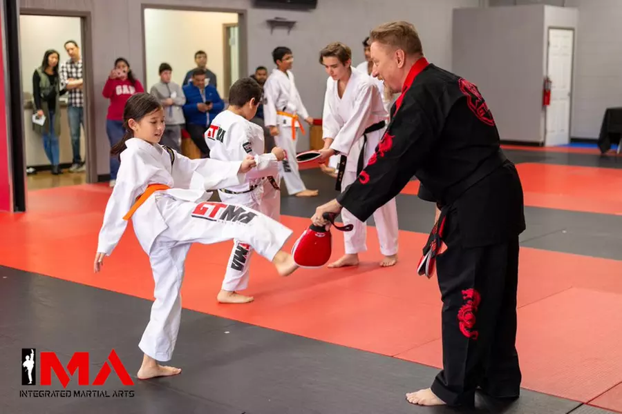 Experience Integrated Martial Arts' Classes for Ages 4+ with Up to 45% Off - Primary Image