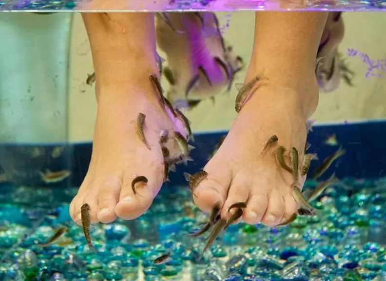 Up to 42% Off on Nail Spa/Salon - Pedicure - Fish at Garra spas - Primary Image