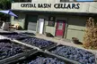 Experience Crystal Basin Cellars with wine tastings and tours for 2 or 4, including barrel tastings and bottles of wine, up to 40% - Second Medium
