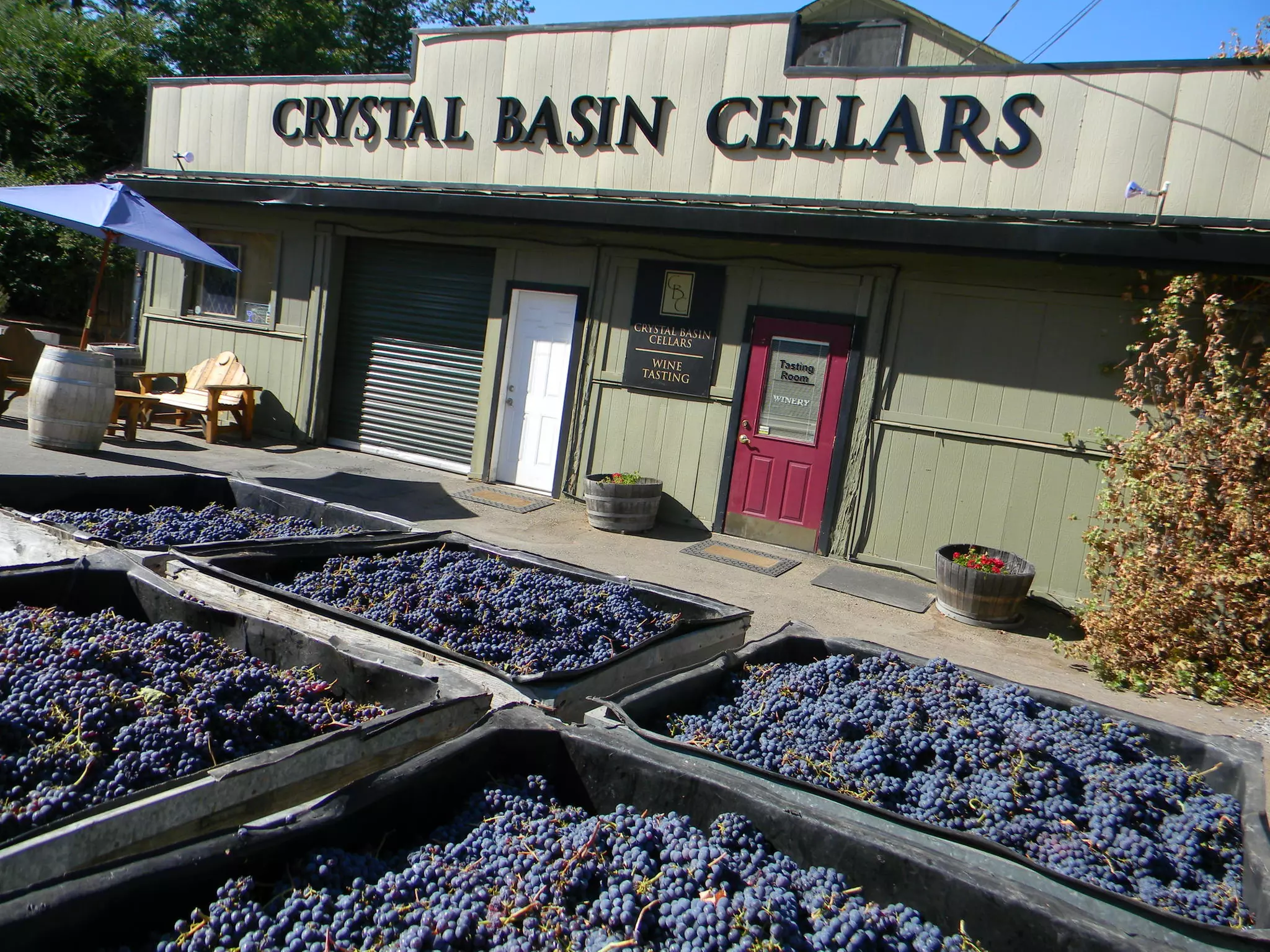 Wine tasting and tour for 2 or 4 with barrel tasting and wine