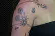 Up to 40% Off on Tattooing at InkaSoul Studio - Second Medium