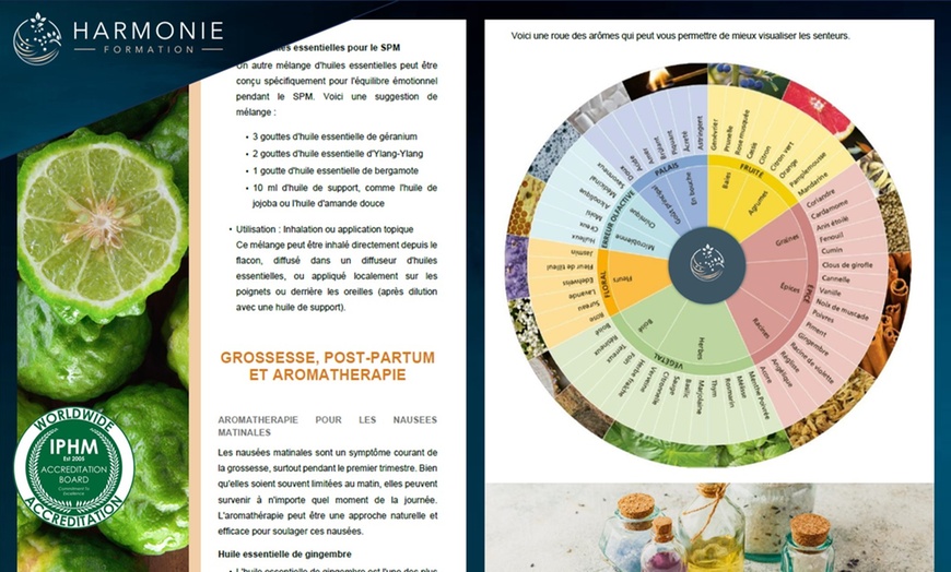 Image 5: Plongez dans la science de l'aromathérapie avec Harmonie Formation