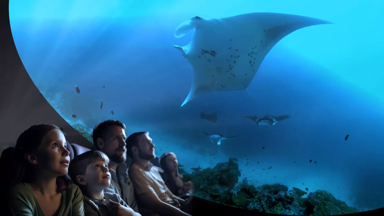 Up to 30% Off on Cinema / Movie Theater at IMMERSED - Primary Image