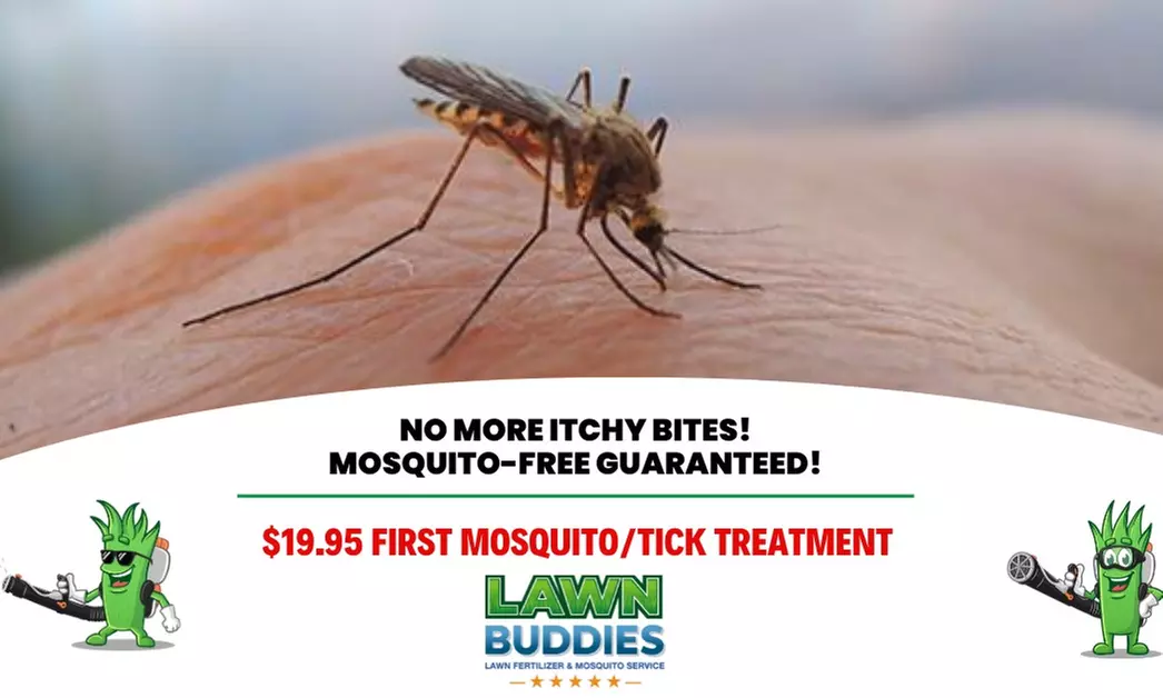 Up to 80% Off on Pest Control Service - General at Lawn Buddies