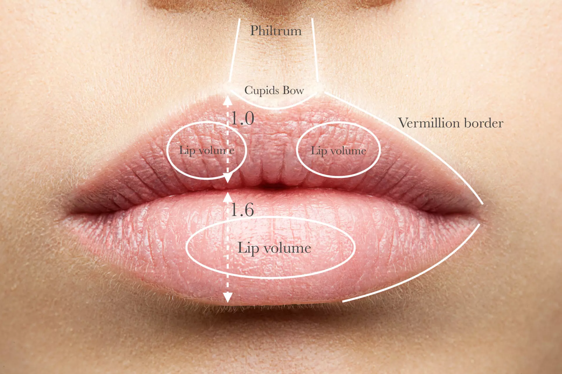 Up to 36% Off on Online Beauty School Course at A Beauty By Design - Primary Image