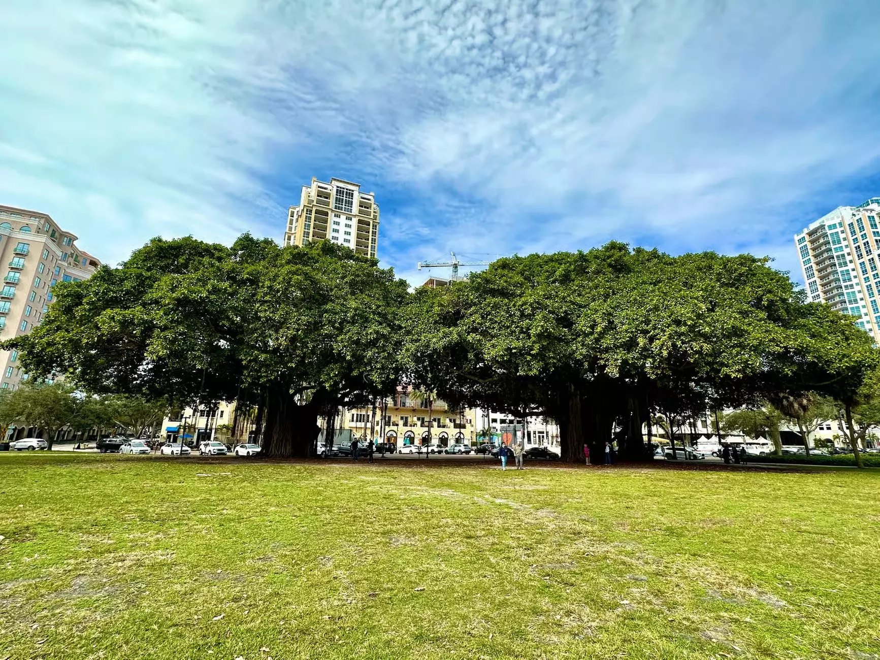 Golf Cart Tours St. Petersburg – Explore The Sunshine City